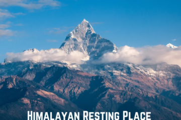 The Allure and Significance of the Himalayan Resting Place